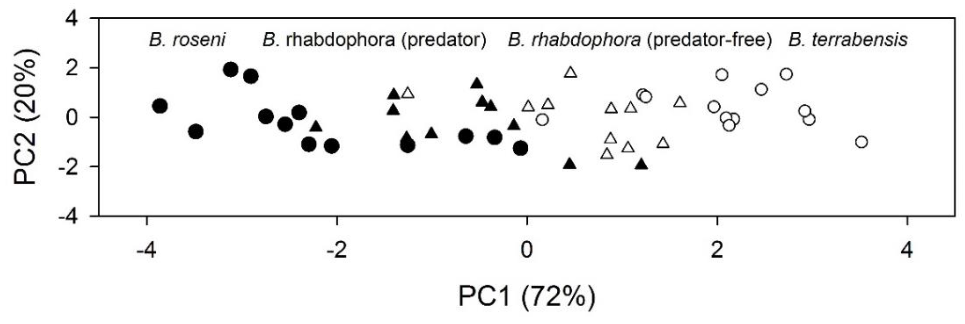 Diversity 12 00179 g004