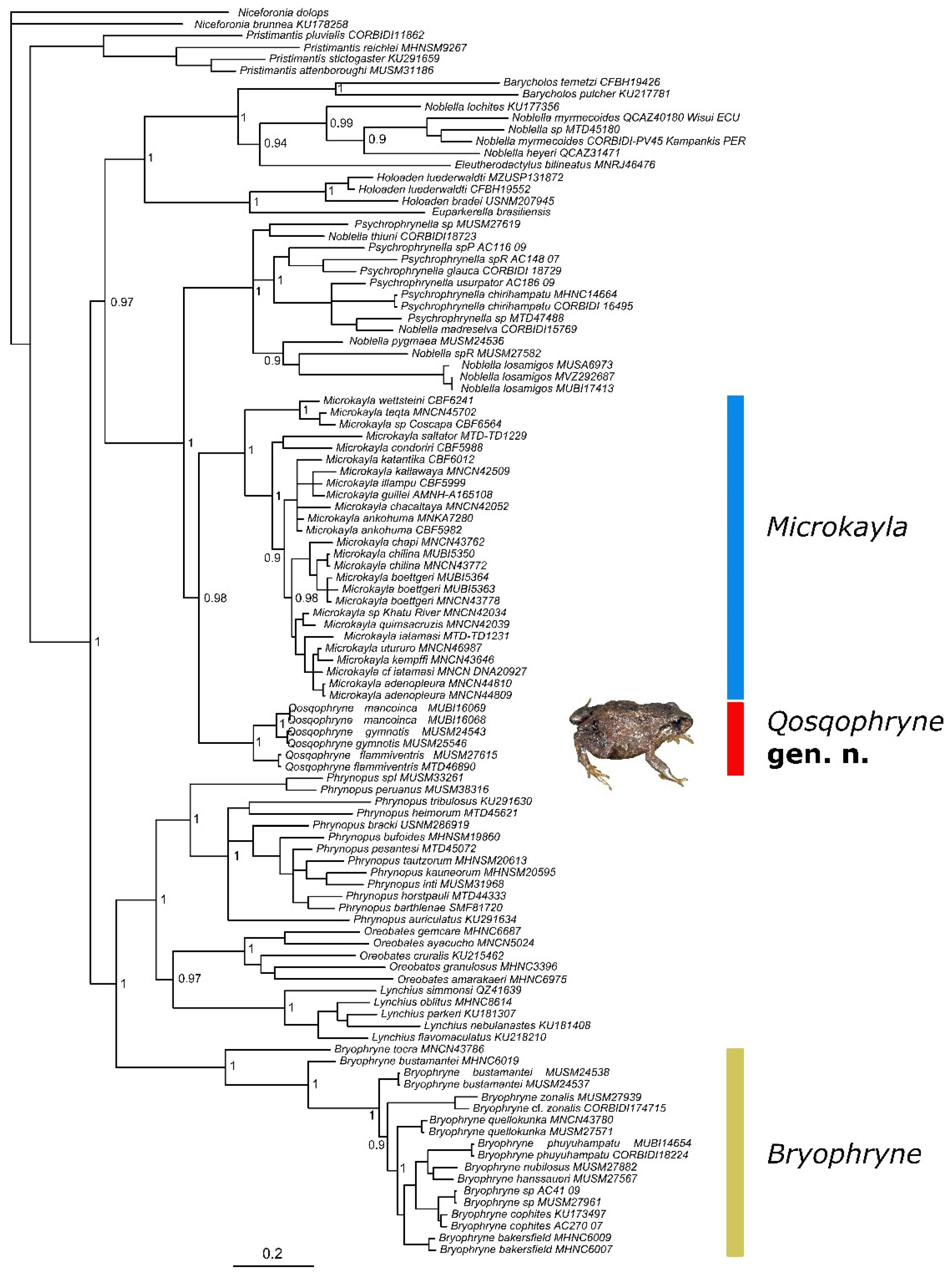 Diversity 12 00184 g002