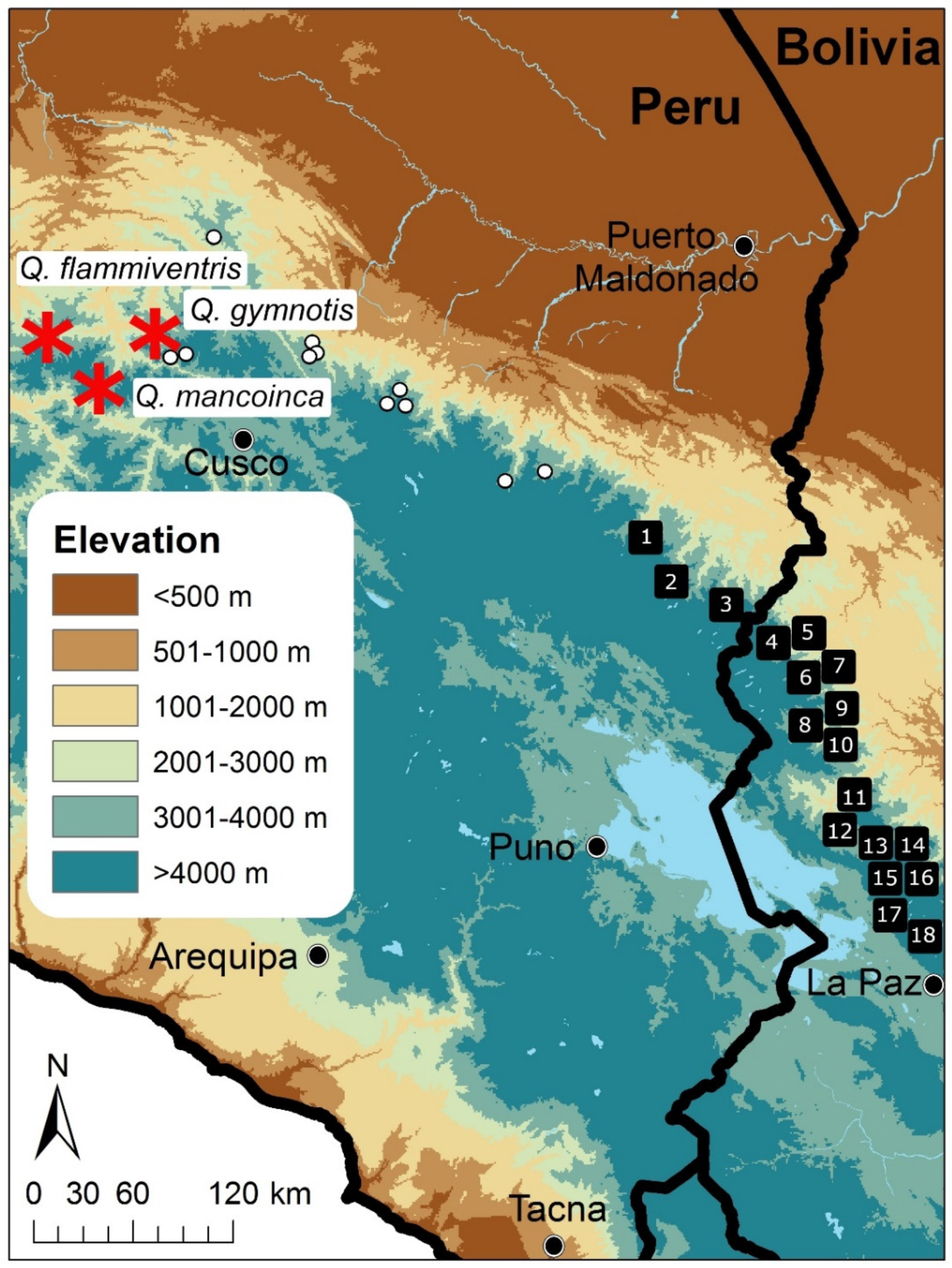 Diversity 12 00184 g003