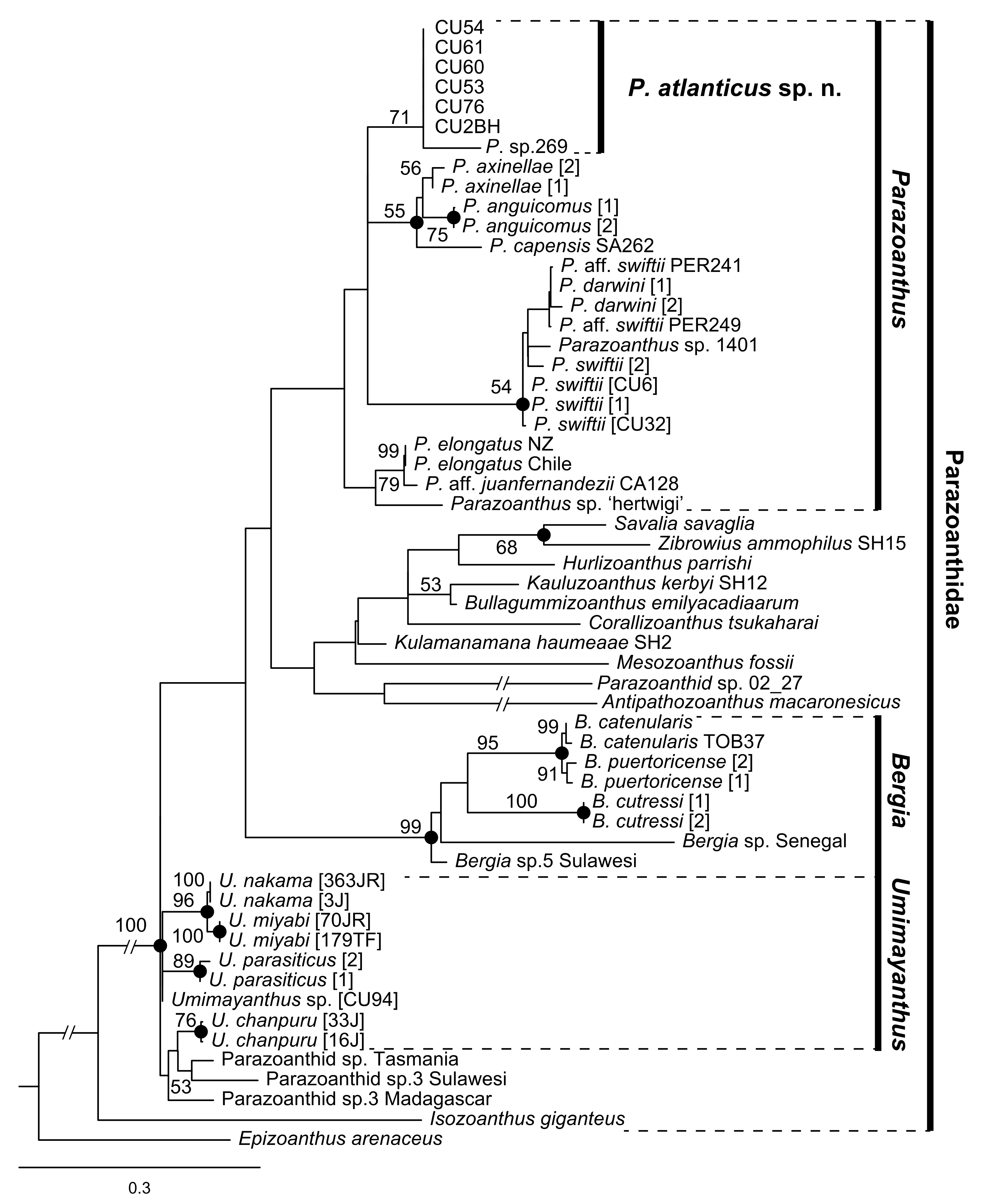 Diversity 12 00190 g011
