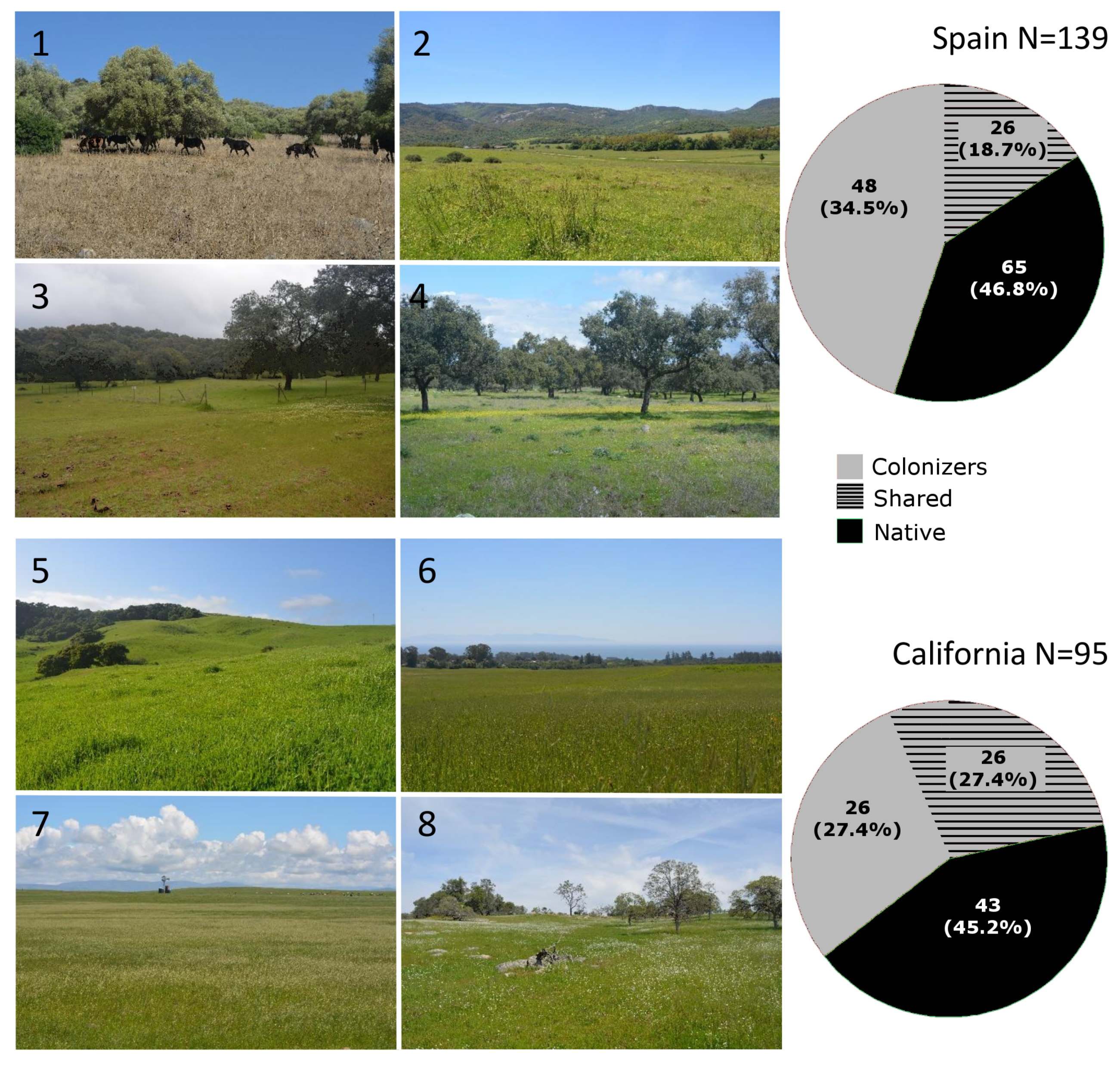 Diversity 12 00193 g001