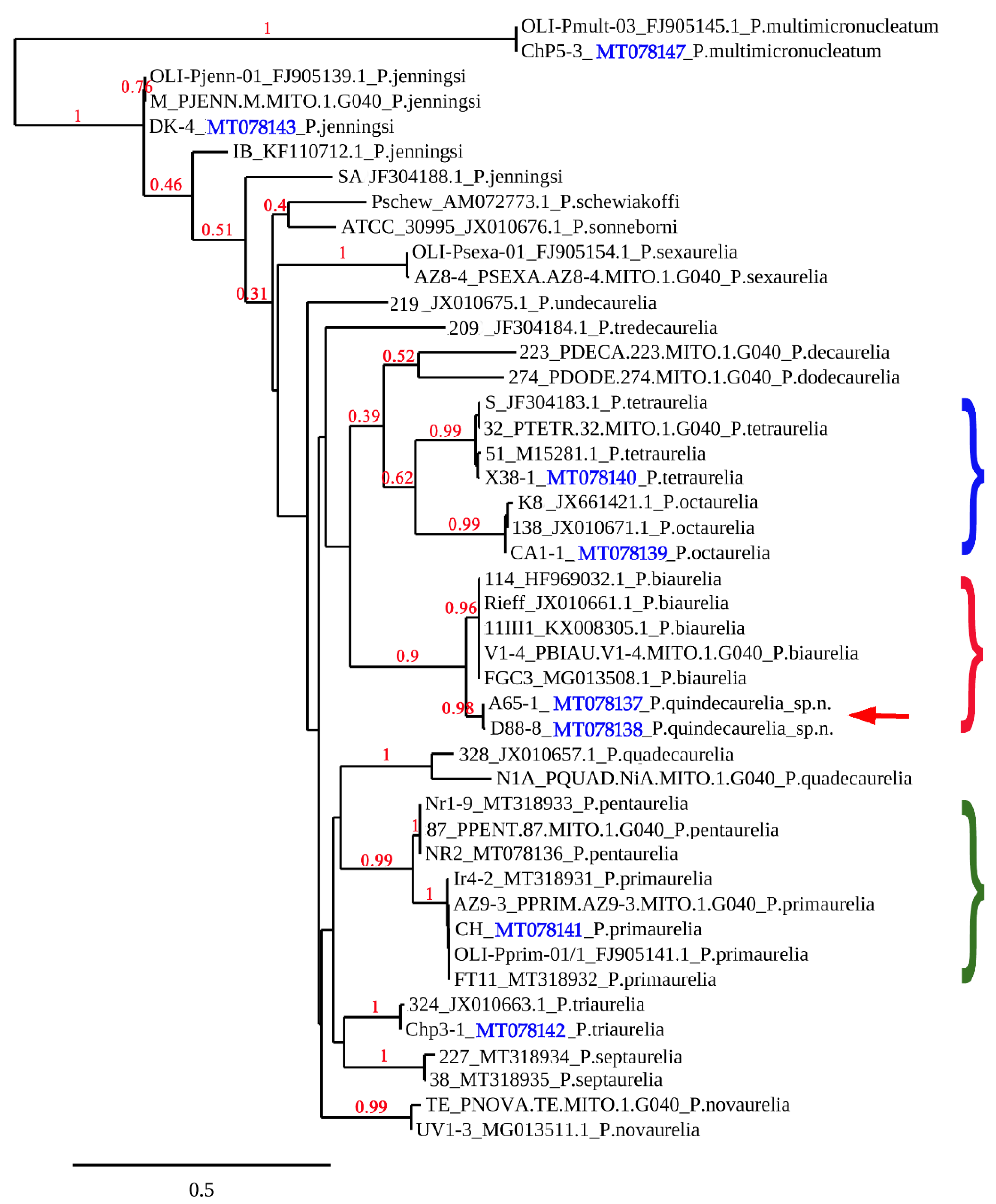 Diversity 12 00197 g003