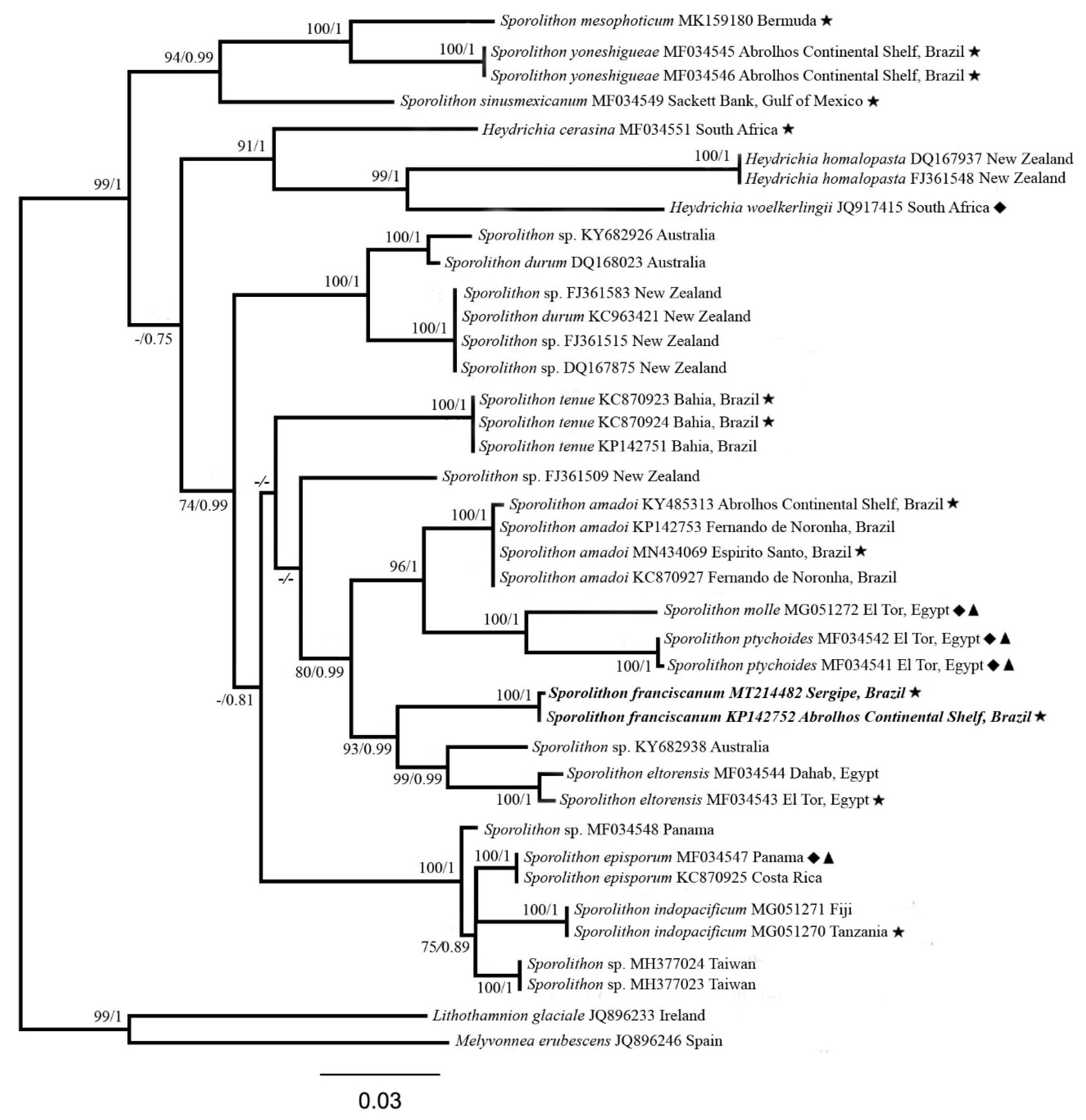 Diversity 12 00199 g001 Diversity 12 00199 g001