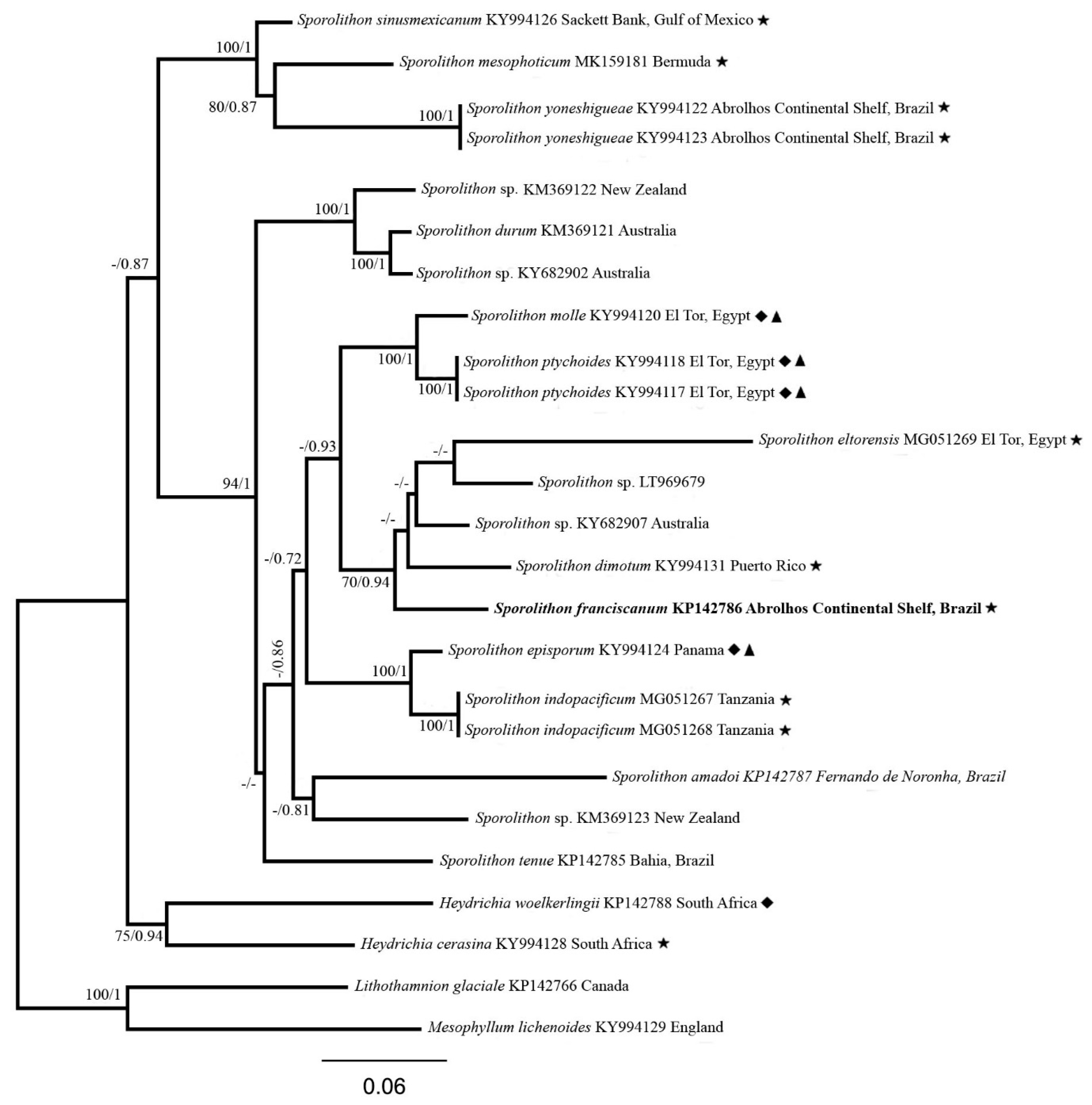 Diversity 12 00199 g002 Diversity 12 00199 g002