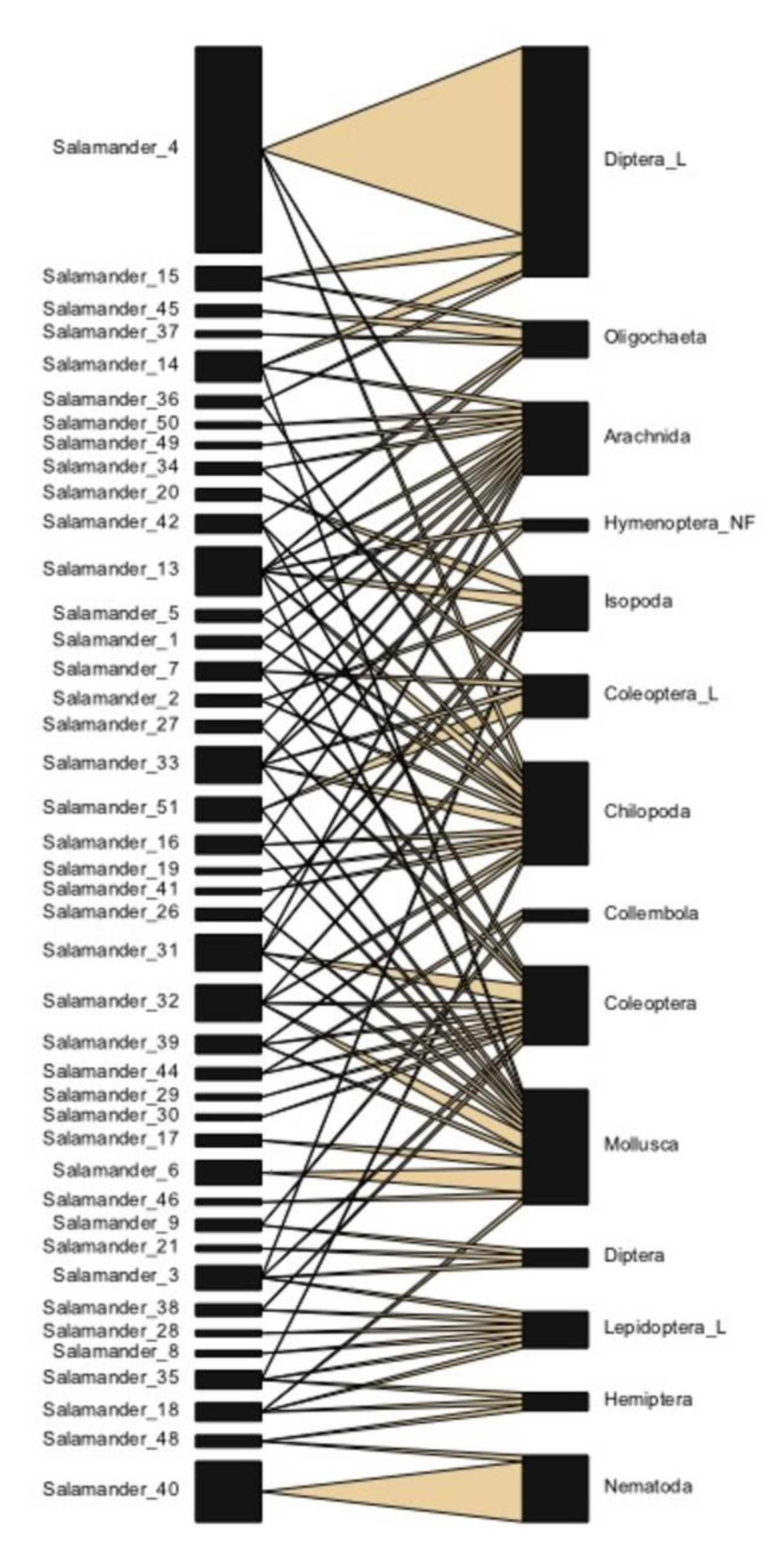 Diversity 12 00202 g005 Diversity 12 00202 g005
