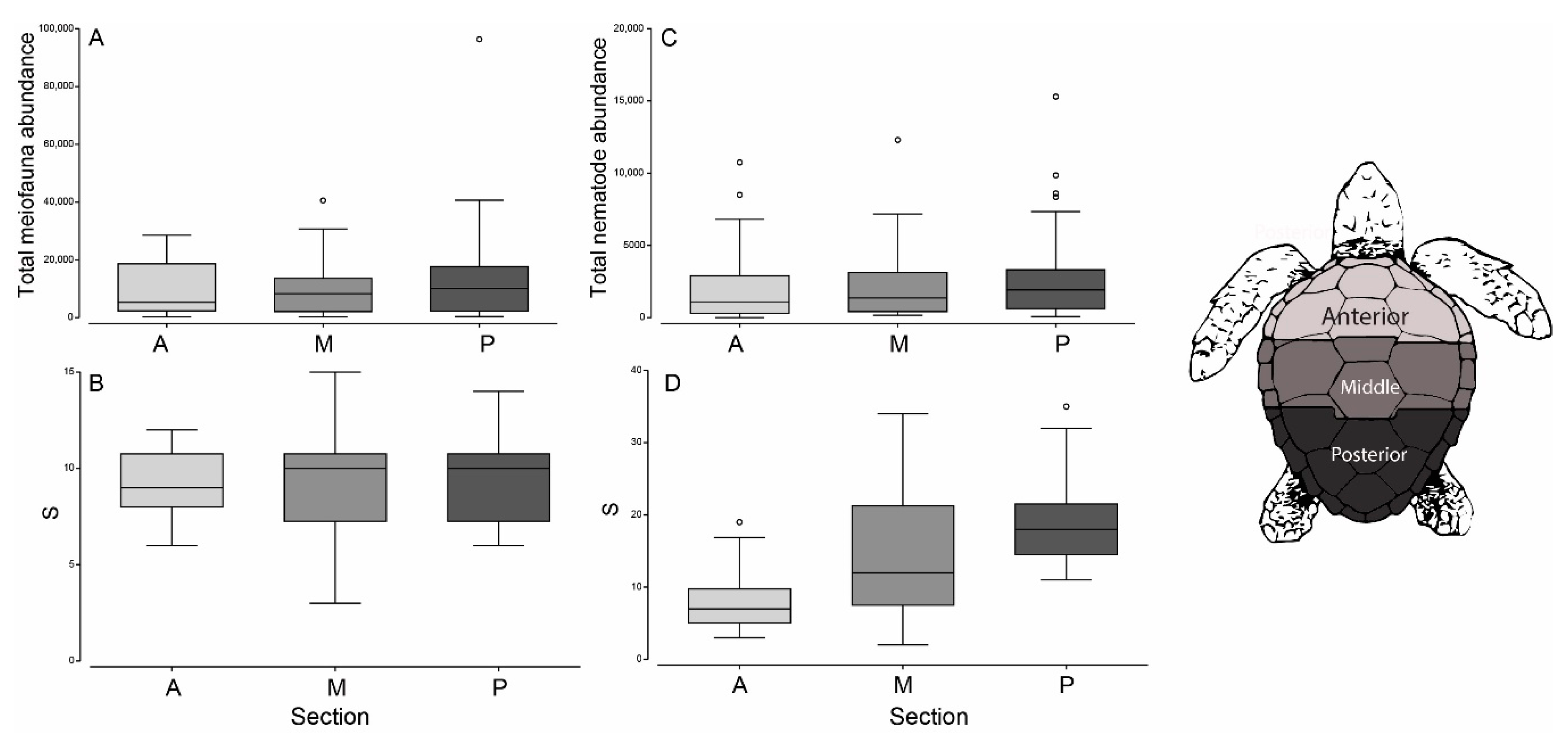 Diversity 12 00203 g001