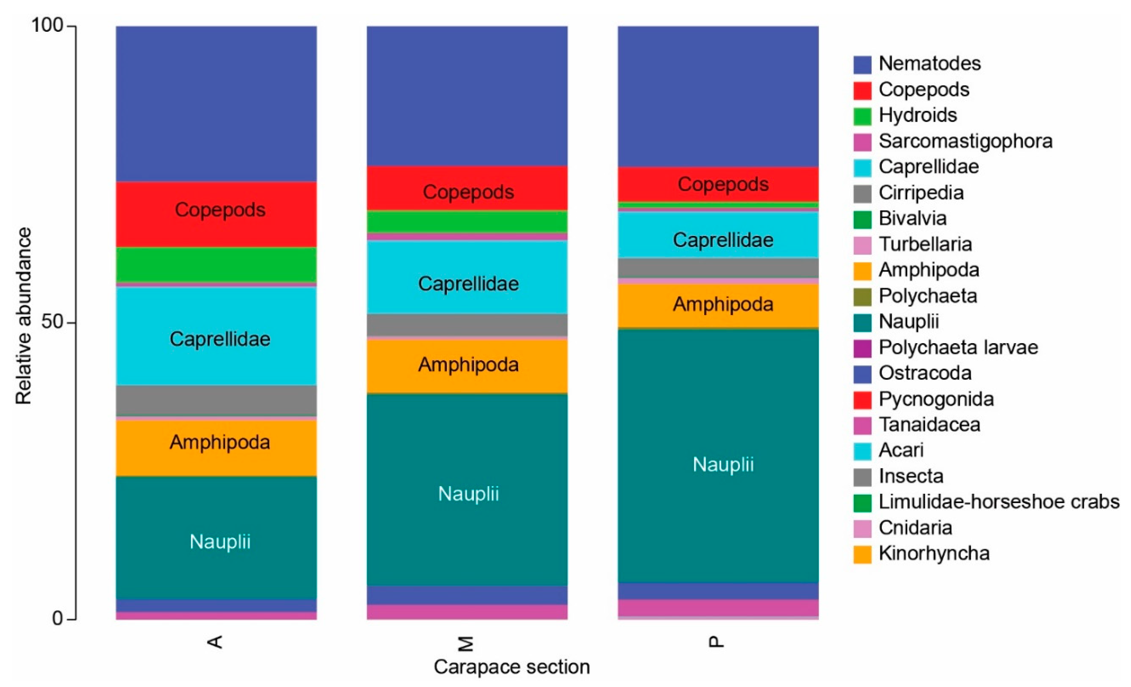 Diversity 12 00203 g002