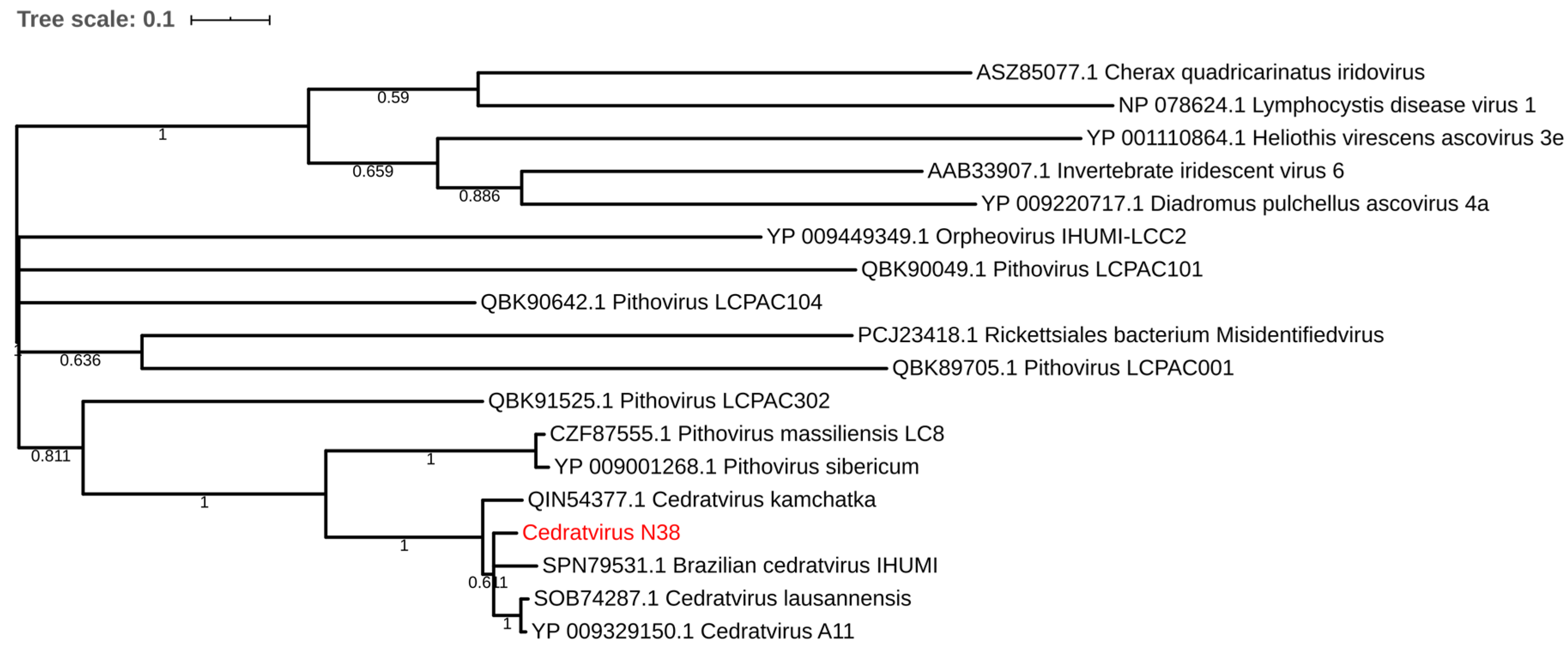 Diversity 12 00215 g003