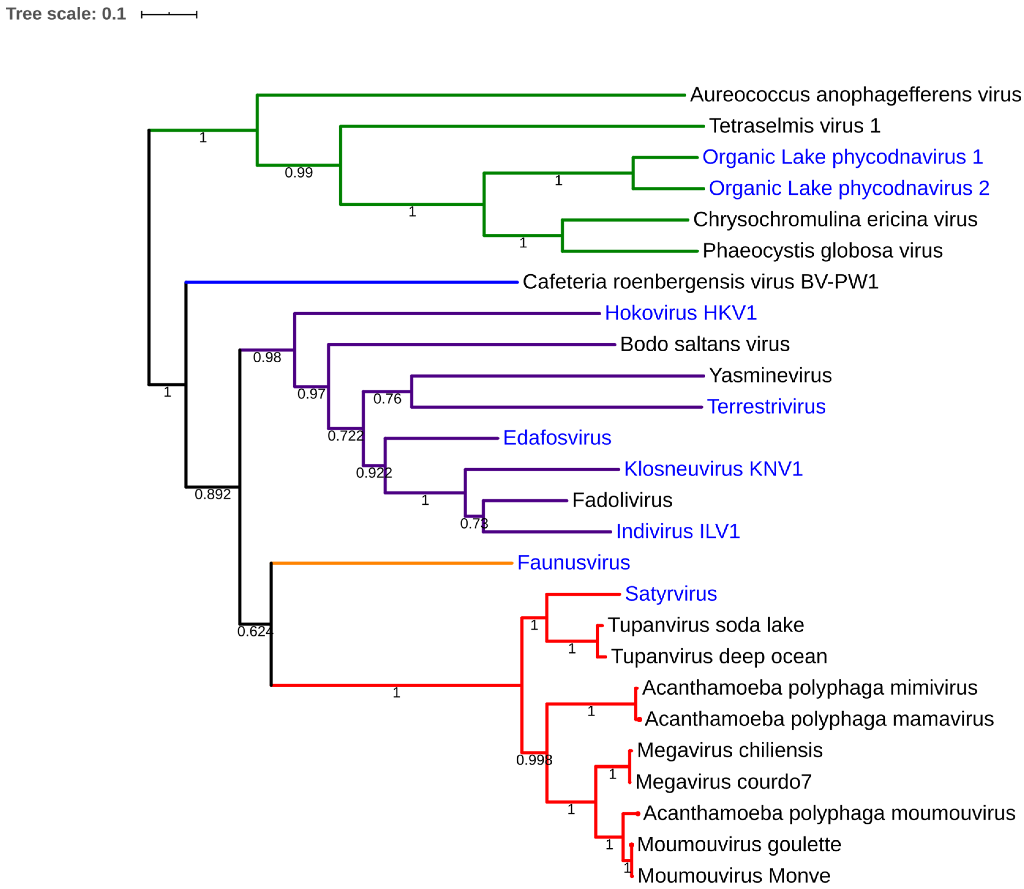Diversity 12 00215 g005