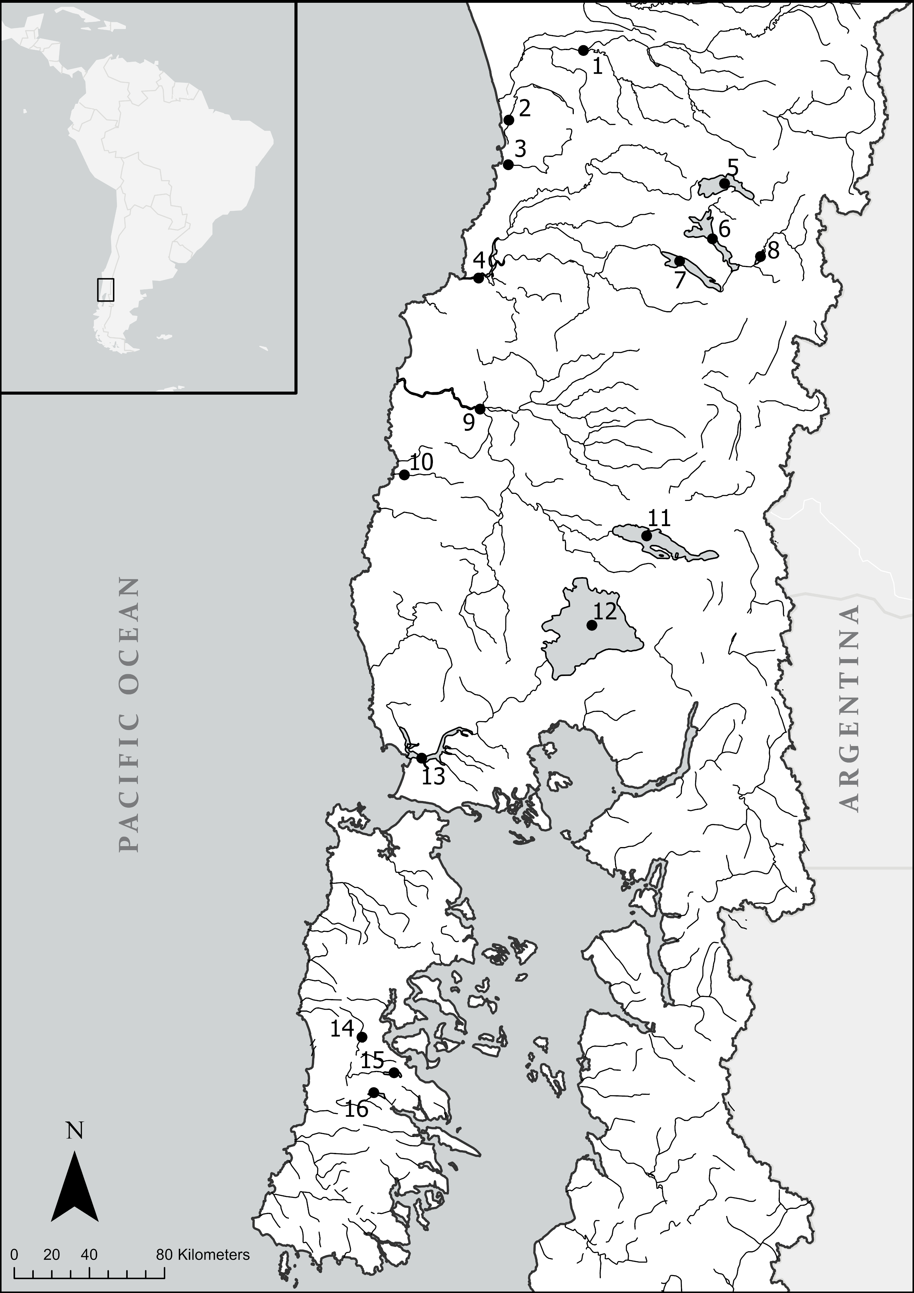 Diversity 12 00219 g001