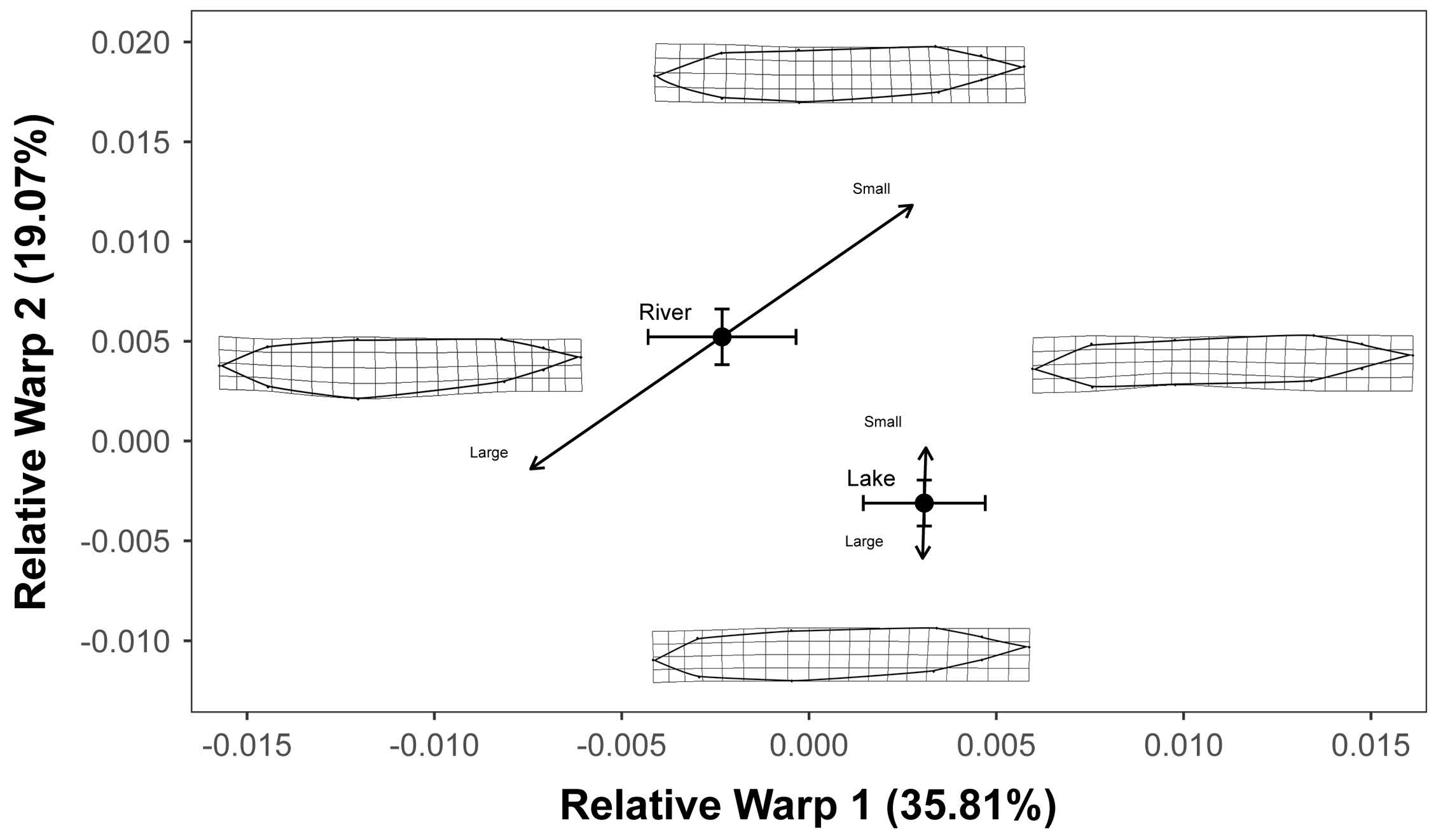 Diversity 12 00219 g004