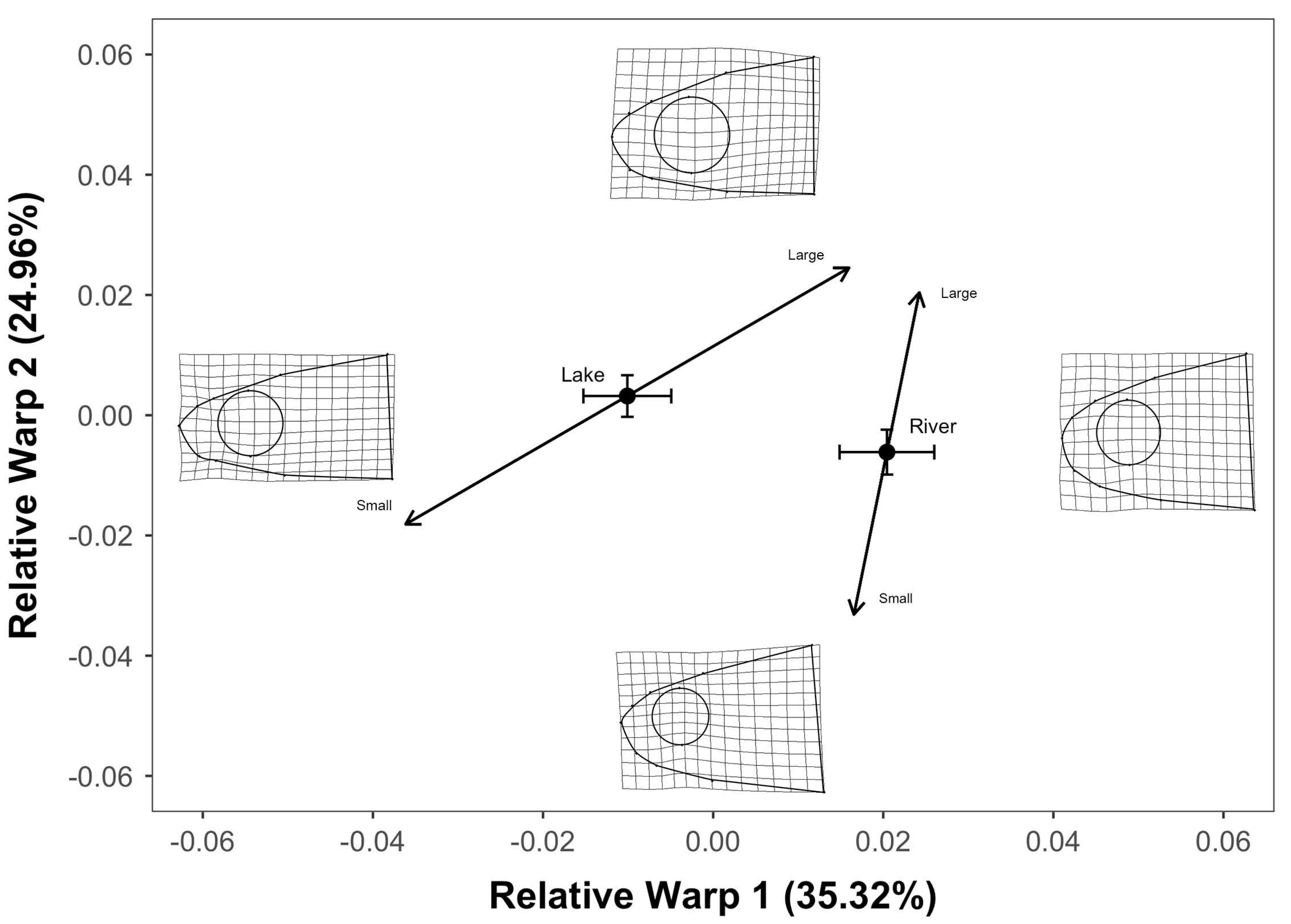 Diversity 12 00219 g005