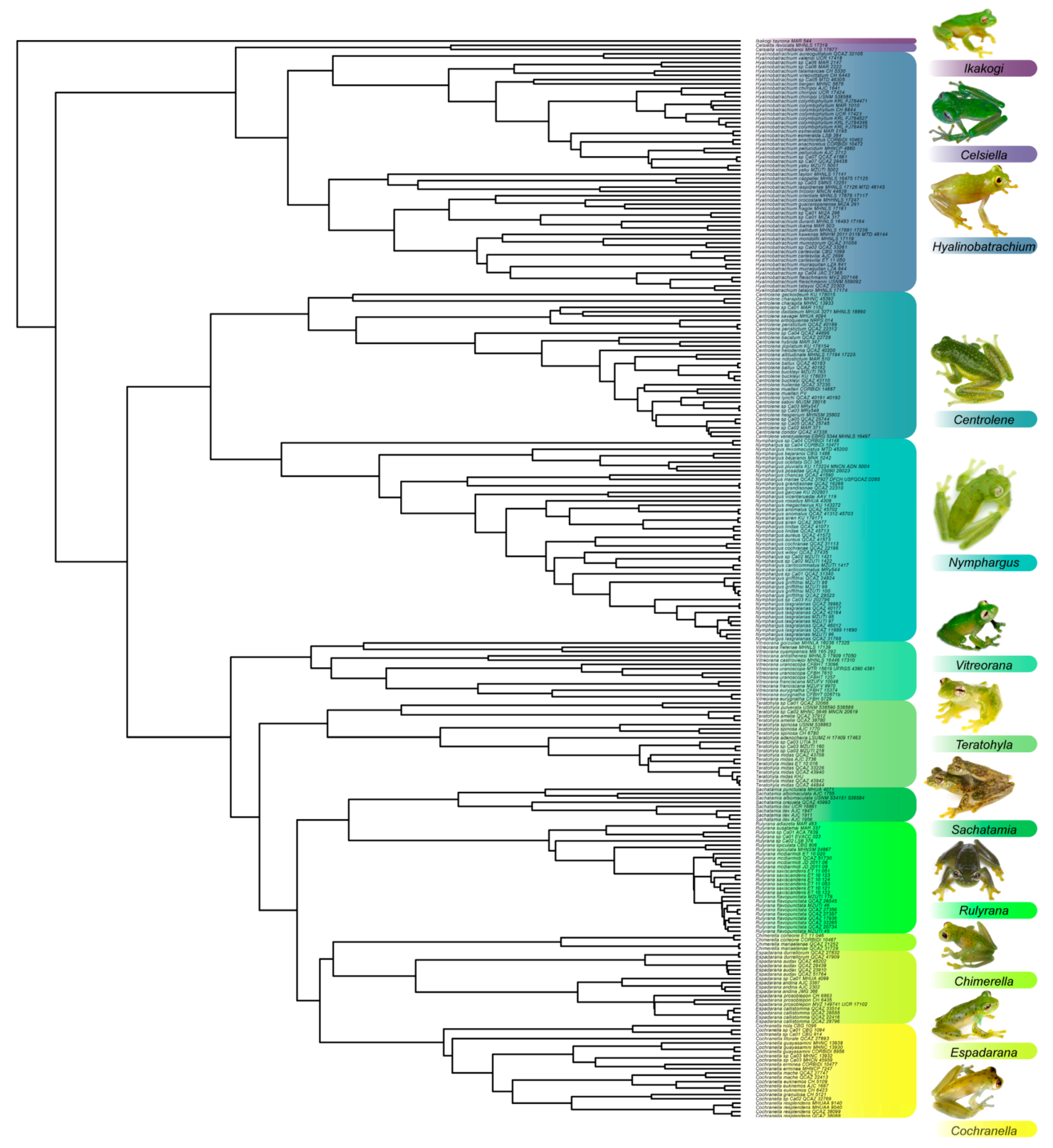 Diversity 12 00222 g001 Diversity 12 00222 g001