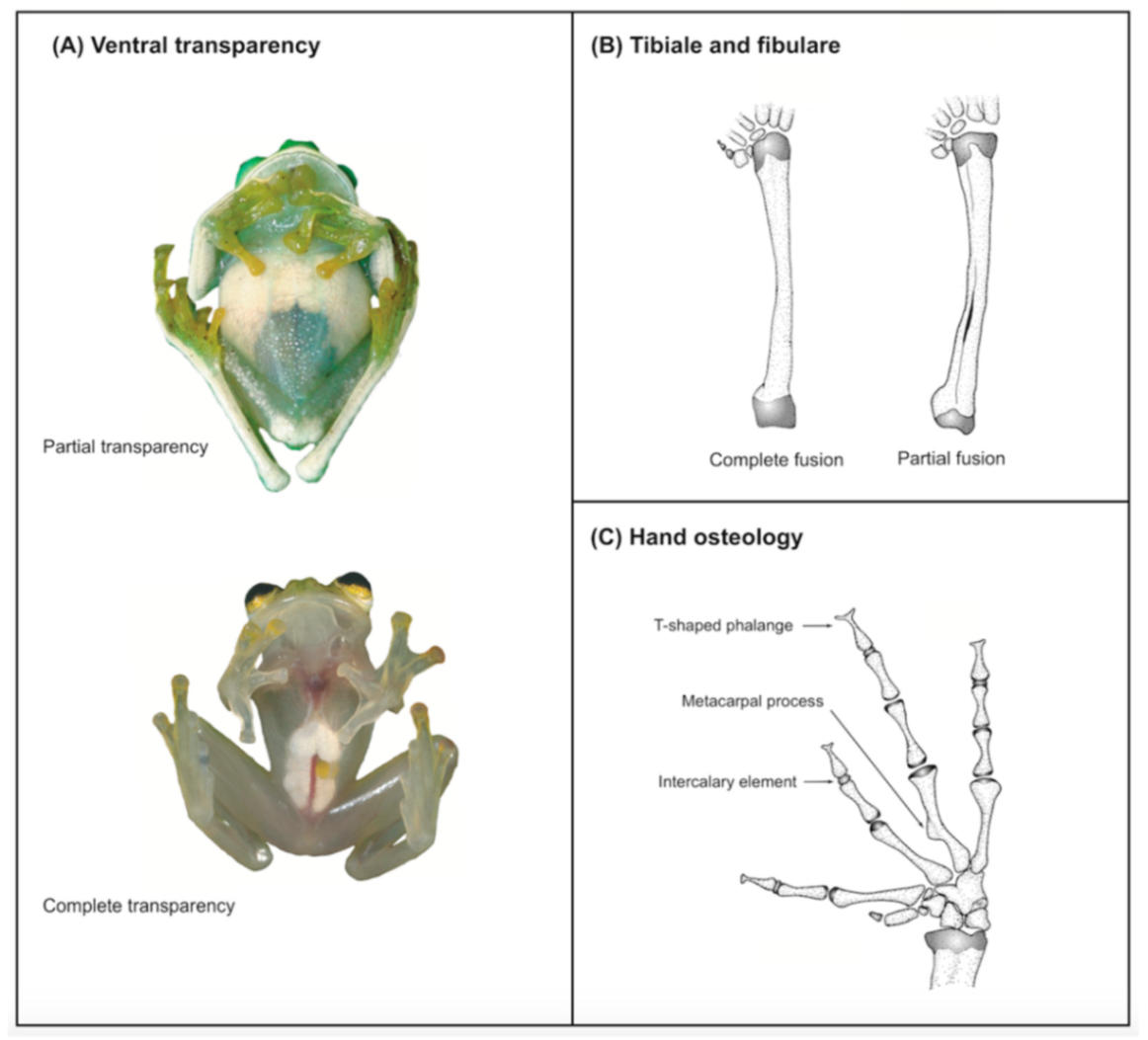 Diversity 12 00222 g008 Diversity 12 00222 g008