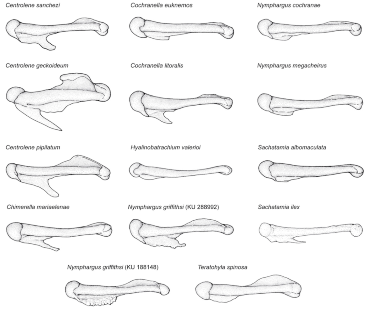 Diversity 12 00222 g014 Diversity 12 00222 g014