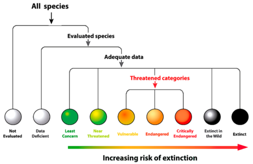 Diversity 12 00222 g017 Diversity 12 00222 g017