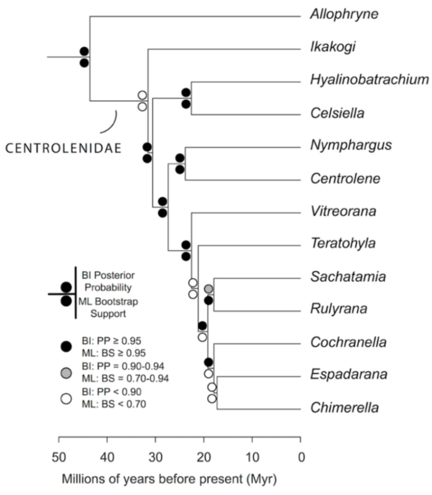 Diversity 12 00222 g019 Diversity 12 00222 g019