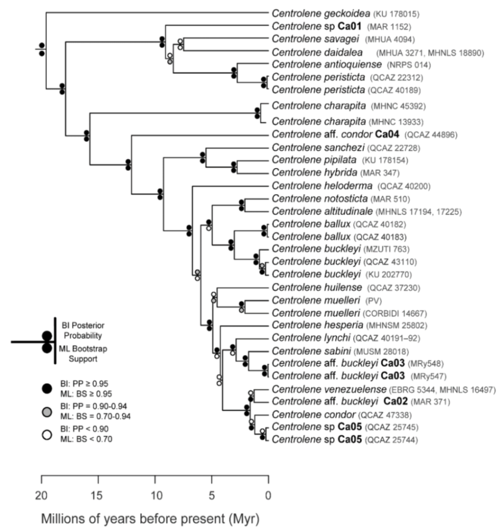 Diversity 12 00222 g024 Diversity 12 00222 g024