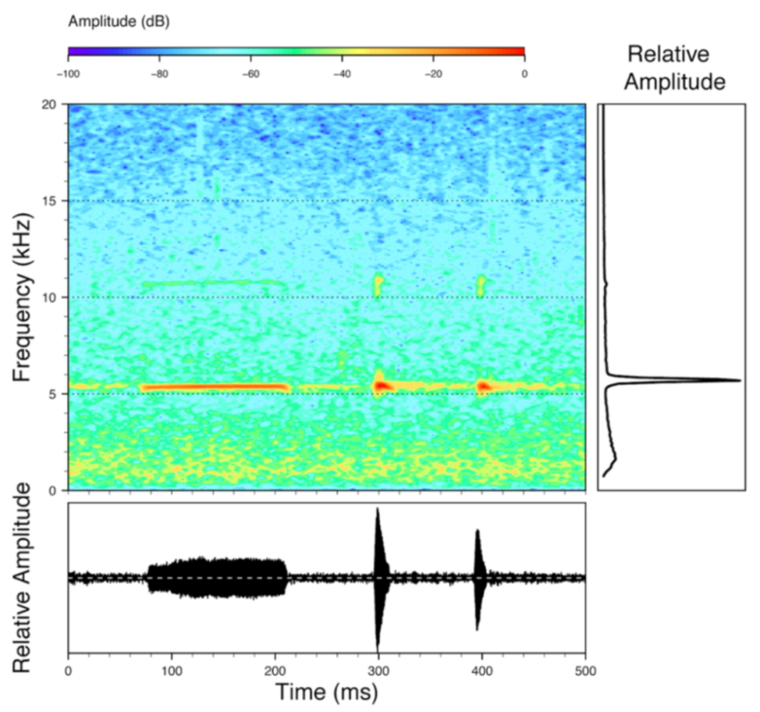 Diversity 12 00222 g045 Diversity 12 00222 g045