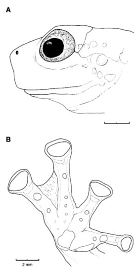 Diversity 12 00222 g048