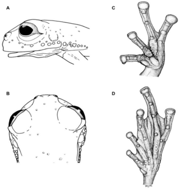 Diversity 12 00222 g058 Diversity 12 00222 g058