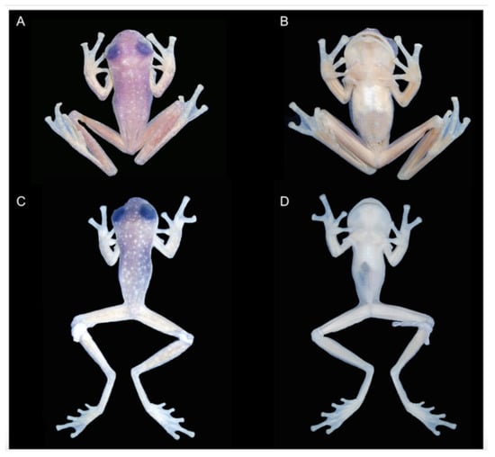 Diversity 12 00222 g059