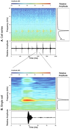 Diversity 12 00222 g060