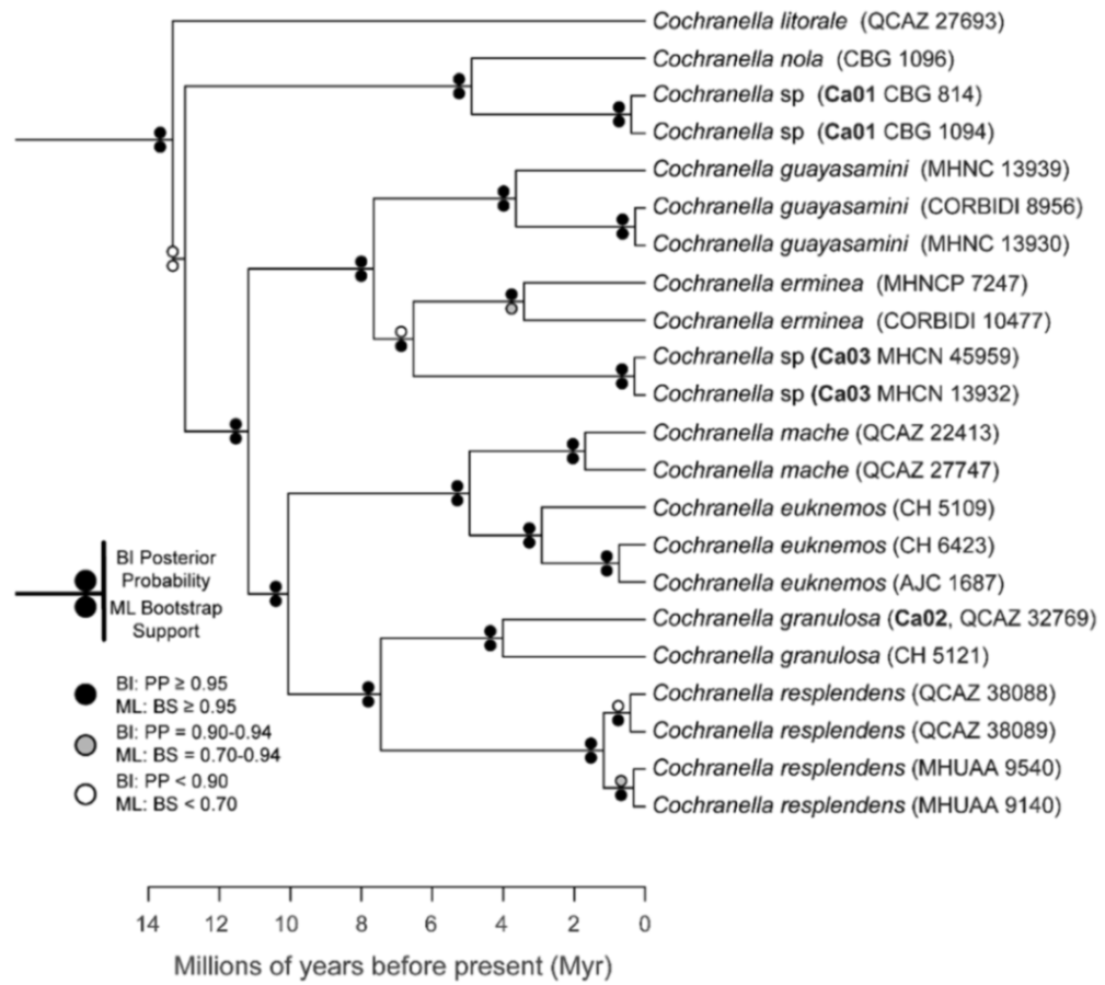 Diversity 12 00222 g069 Diversity 12 00222 g069