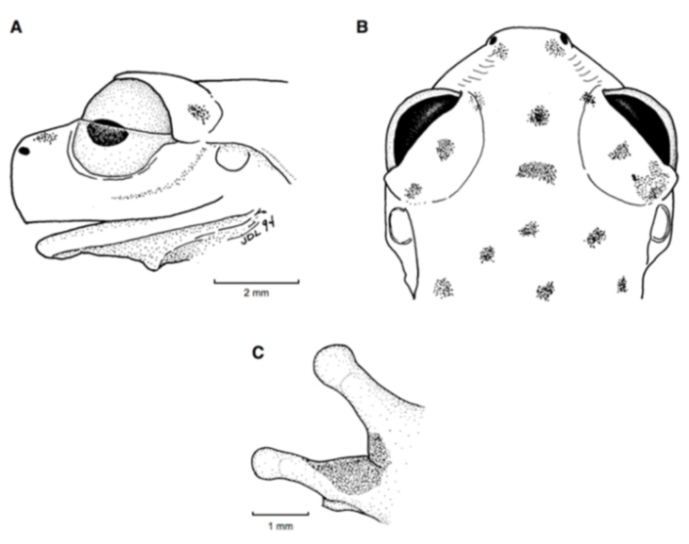 Diversity 12 00222 g072 Diversity 12 00222 g072