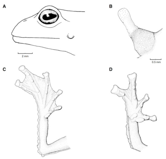 Diversity 12 00222 g075