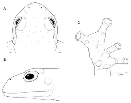 Diversity 12 00222 g078