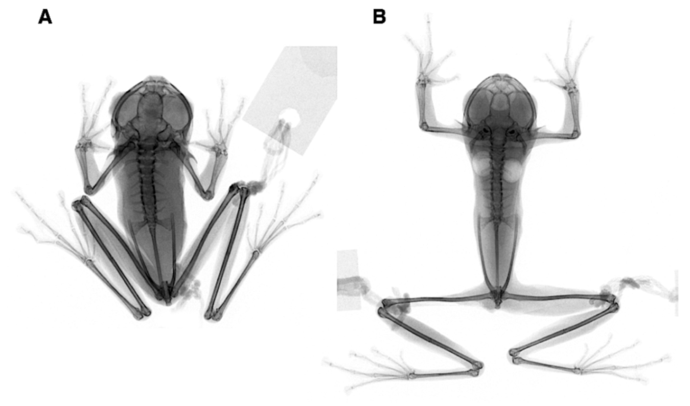 Diversity 12 00222 g085 Diversity 12 00222 g085