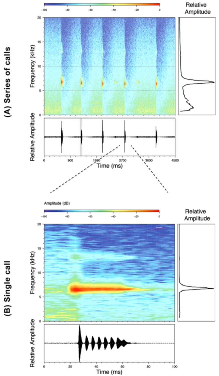 Diversity 12 00222 g086 Diversity 12 00222 g086