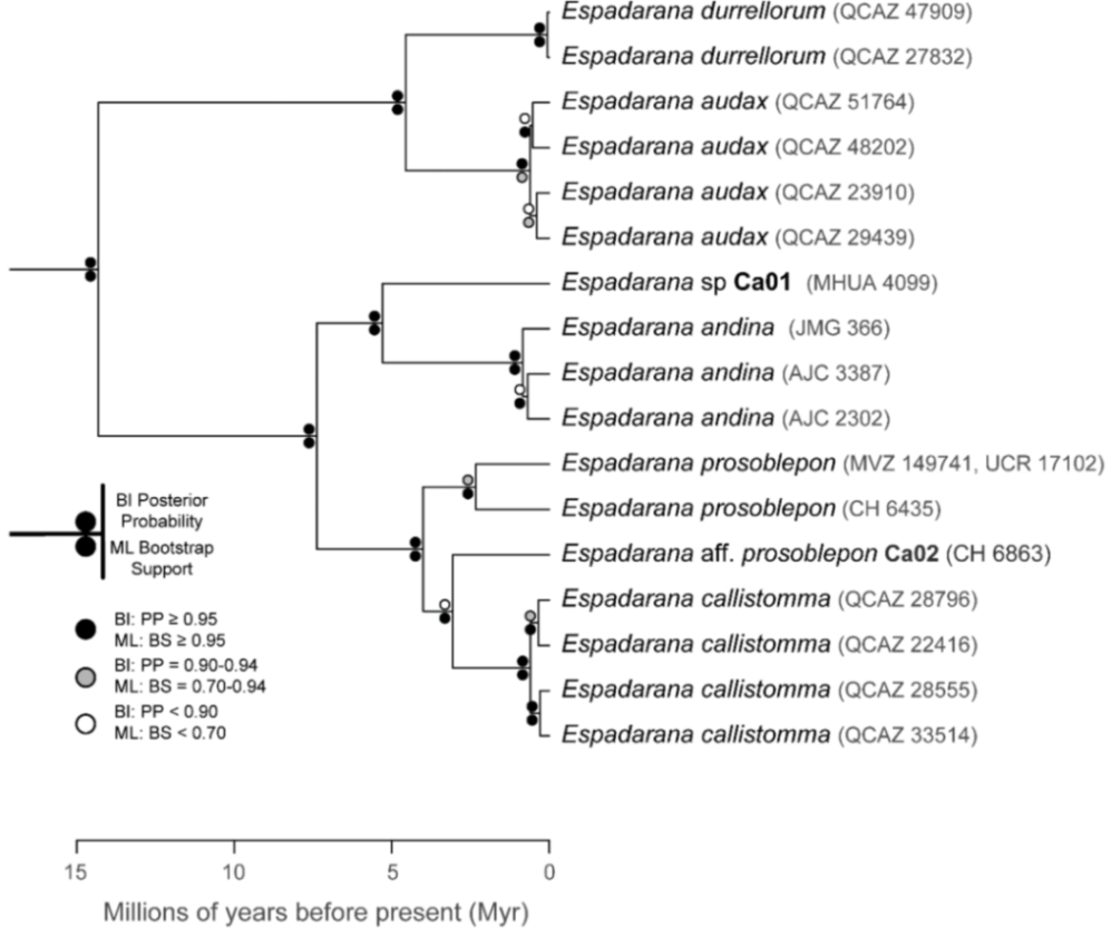 Diversity 12 00222 g088 Diversity 12 00222 g088