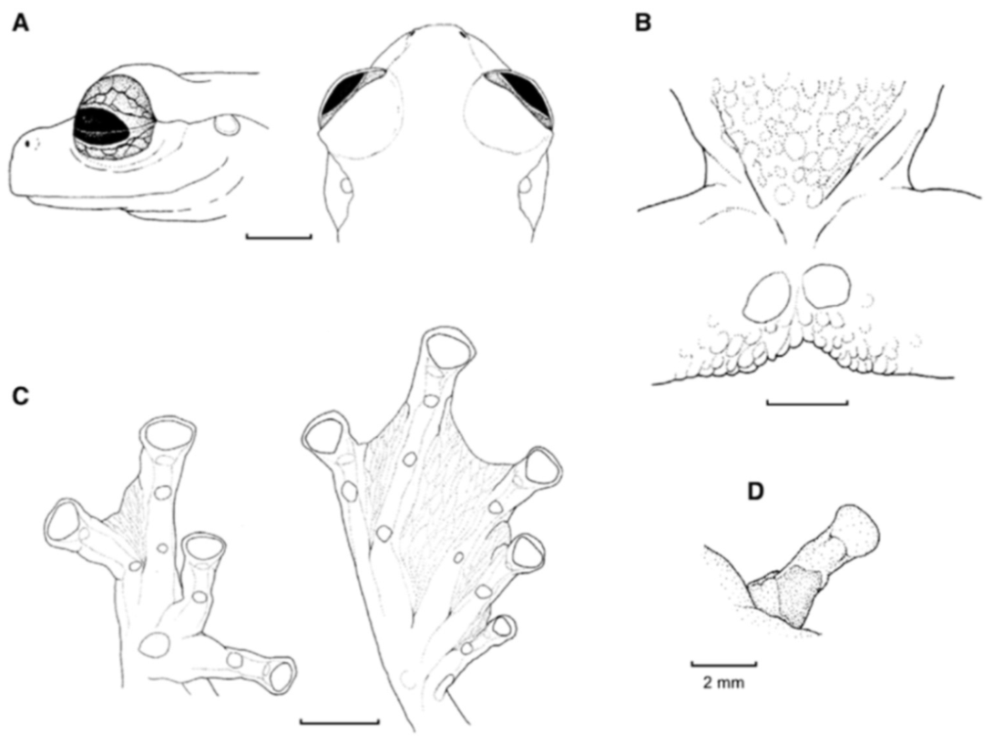 Diversity 12 00222 g090 Diversity 12 00222 g090