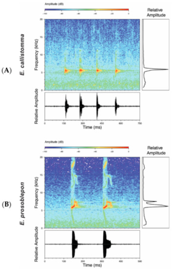 Diversity 12 00222 g091