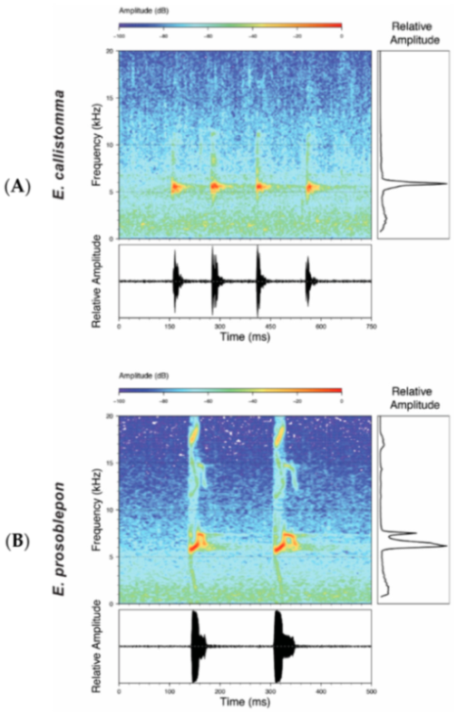 Diversity 12 00222 g091 Diversity 12 00222 g091
