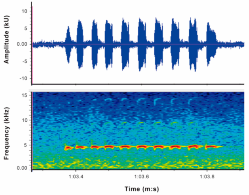 Diversity 12 00222 g099 Diversity 12 00222 g099