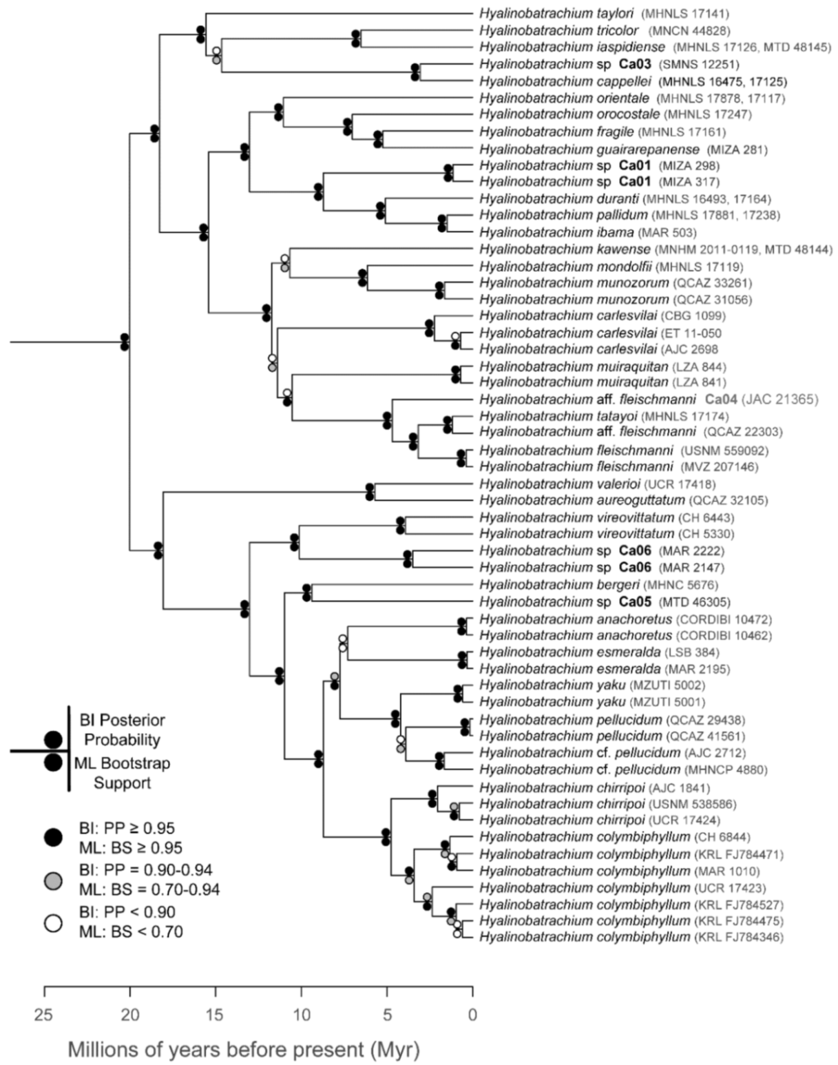 Diversity 12 00222 g101 Diversity 12 00222 g101