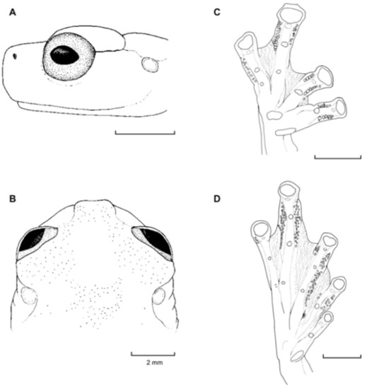 Diversity 12 00222 g103