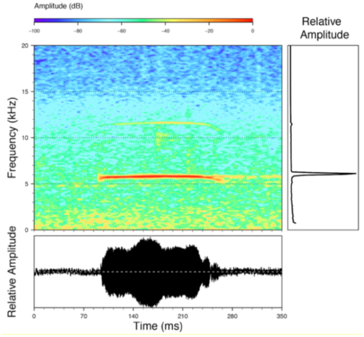 Diversity 12 00222 g115 Diversity 12 00222 g115