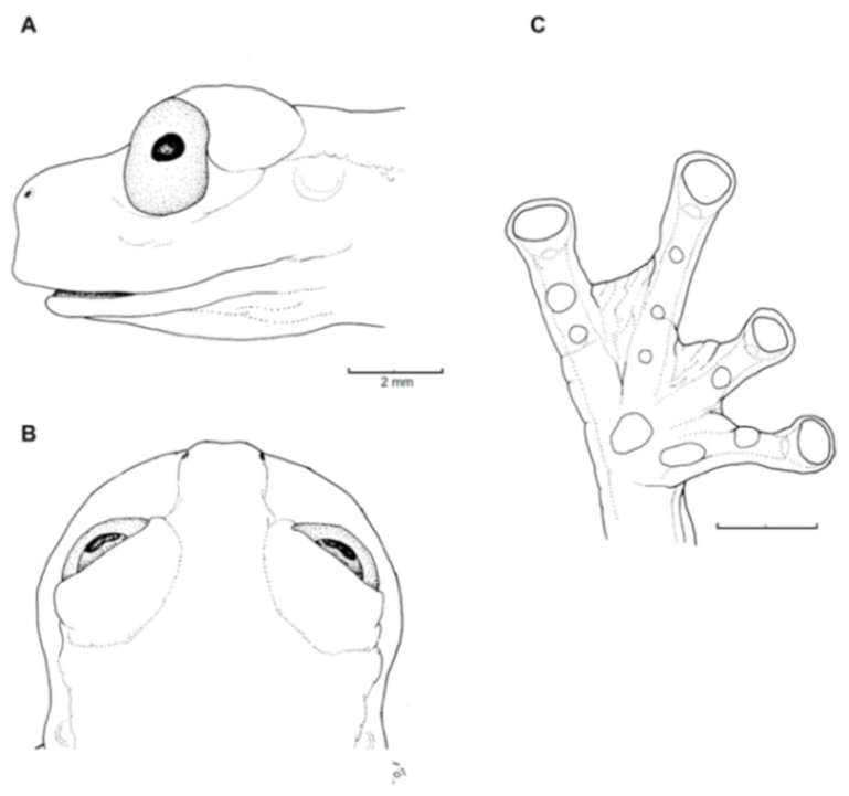 Diversity 12 00222 g118 Diversity 12 00222 g118