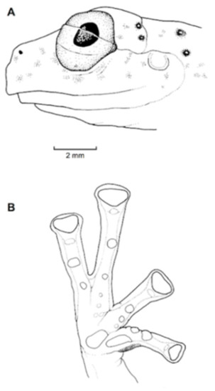 Diversity 12 00222 g129