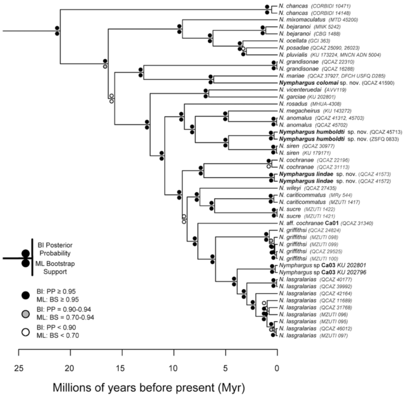 Diversity 12 00222 g136 Diversity 12 00222 g136