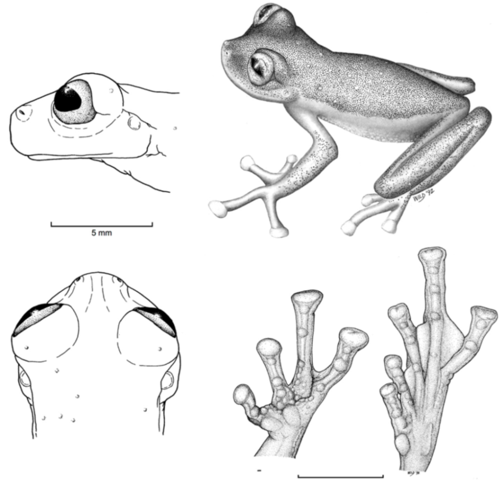 Diversity 12 00222 g138 Diversity 12 00222 g138