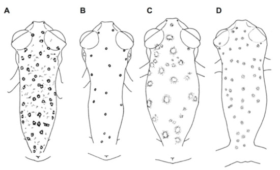 Diversity 12 00222 g142