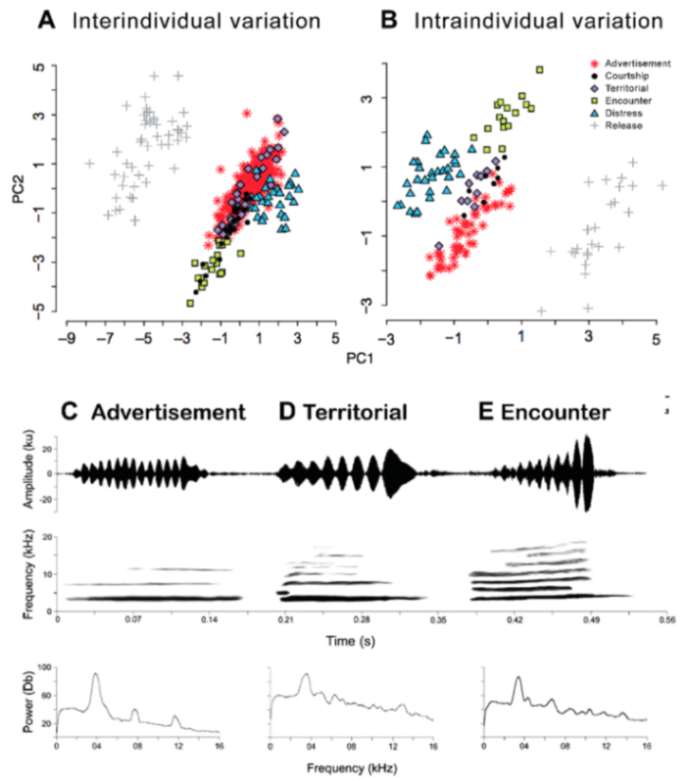 Diversity 12 00222 g152 Diversity 12 00222 g152