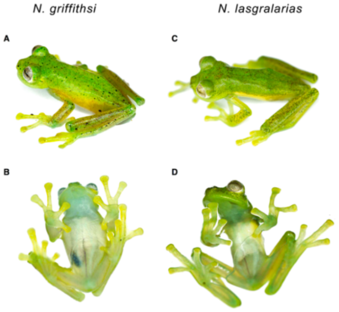 Diversity 12 00222 g154 Diversity 12 00222 g154