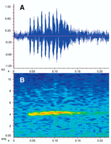 Diversity 12 00222 g172