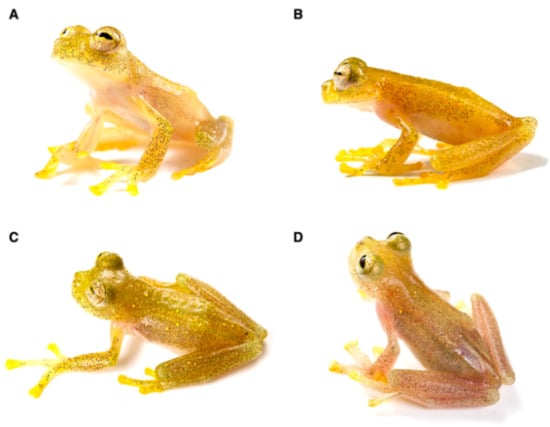 Diversity 12 00222 g184